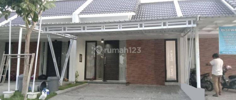 Disewakan Rumah Daerah Tembalang 1