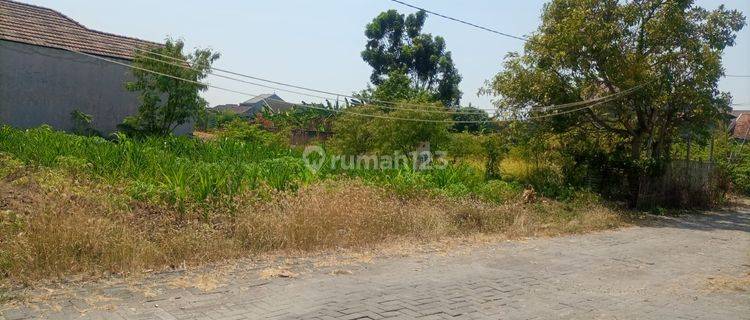 Tanah Siap Bangun 300 m² di Pedurungan Dekat Jalan Raya 1