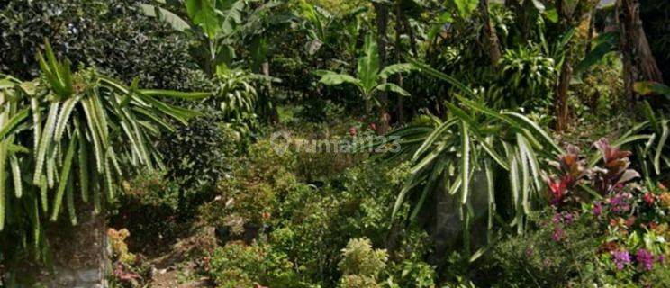 Dijual Tanah di Jalan Gintungan Raya Bandungan Ambarawa 1