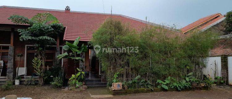 Dijual Rumah di Jalan Desa Setumbu Mijen Semarang  1