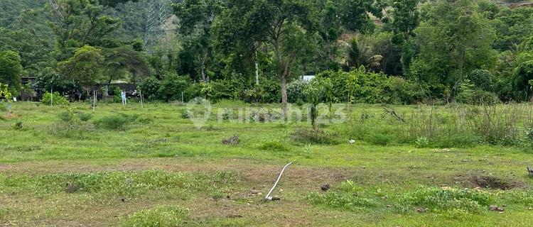 Lahan Los Pantai di Bali Barat - Dekat Lovina 1