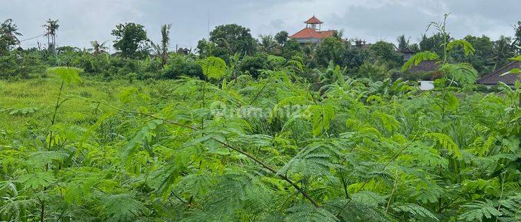 Tanah Impian SHM (cocok untuk investasi) di Area Tanah Lot, Kedungu Tabanan 1