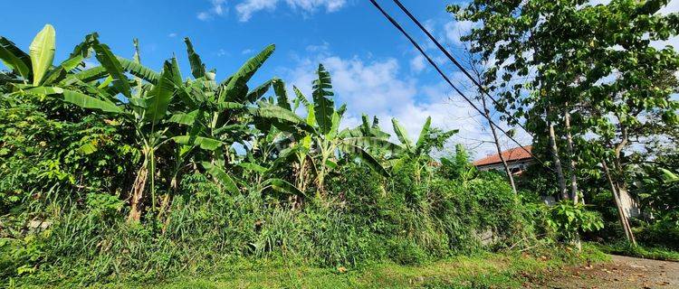 Dijual Kavling Siap Pakai Di Pamoyanan Hijau Bogor 1