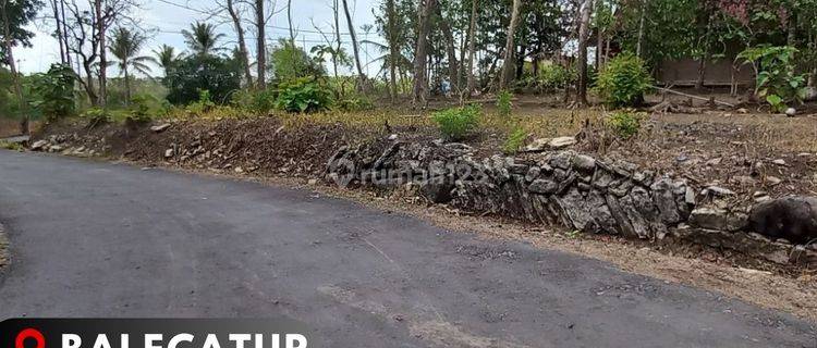  Tanah Jogja 5 Menit Dari Kampus Mercubuana Balecatur 1