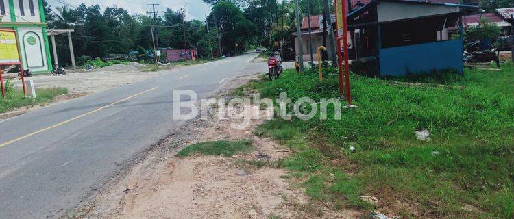 LAHAN PINGGIR JALAN POROS IKN BALIKPAPAN 1