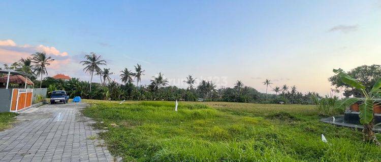 Tanah Siap Bangun View Sawah Dekat Pantai Tanah Lot 1