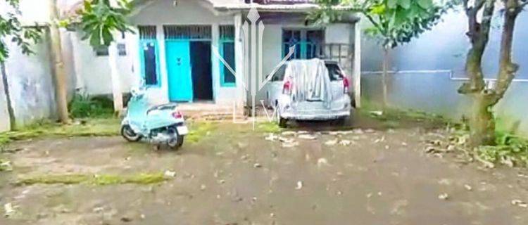 RUMAH PEKARANGAN LUAS DI KAWASAN KOTA JEMBER (Dyh) 1