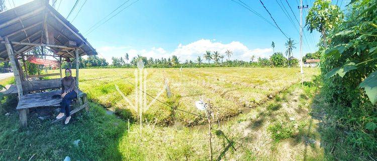 TANAH LUAS DI PINGGIR JALAN RAYA SITUBONDO (Adi) 1