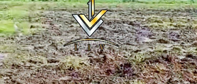TANAH LUAS UNTUK KEBUN TEBU DI KAWASAN KALIBARU (Yus) 1