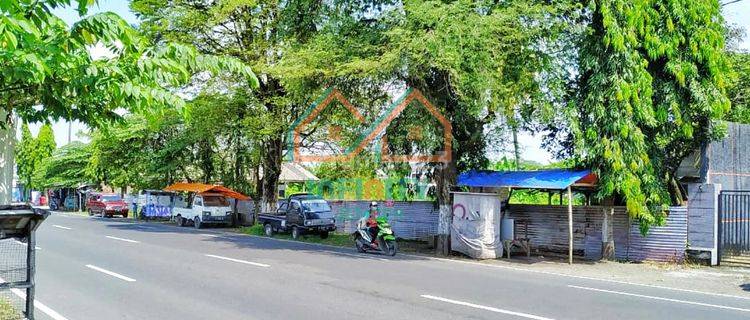 TANAH LUAS DI PINGGIR JALAN RAYA KOTA JEMBER (Cic) 1