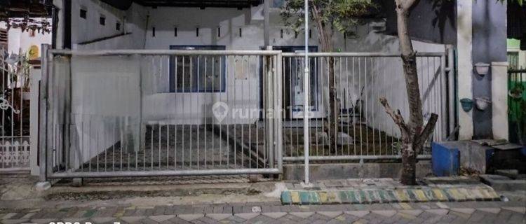 Disewakan Cepat Rumah 1 Lt Siap Huni di Citra Tropodo Waru Sidoarjo  1