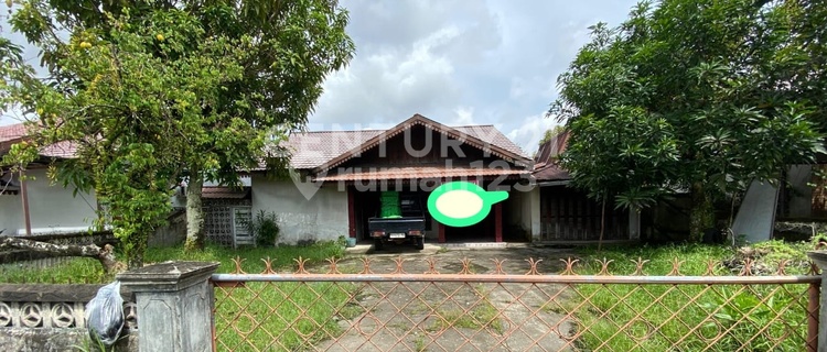 Rumah 1 Lantai Jl. Surya Halaman Luas Padat Penduduk Strategis 1