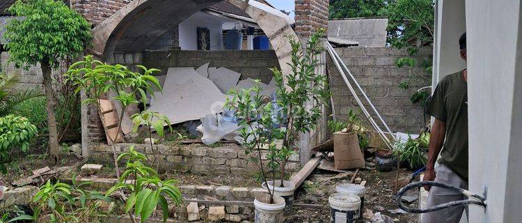 Disewakan Rumah 1.5 Are Di Padonan Canggu. 1