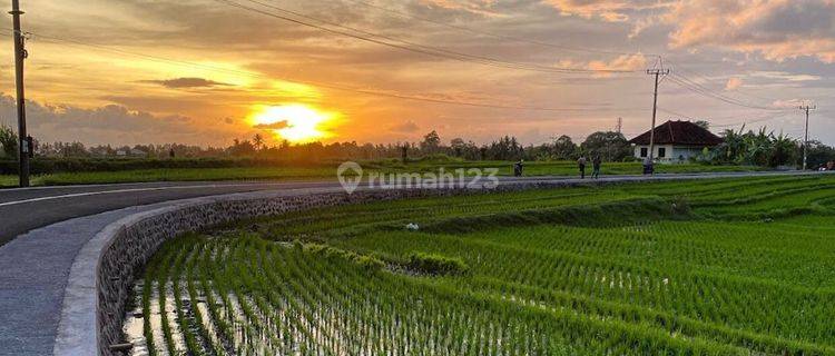 Tanah 57 Are Los Pantai Sawangan Beach Shm 1