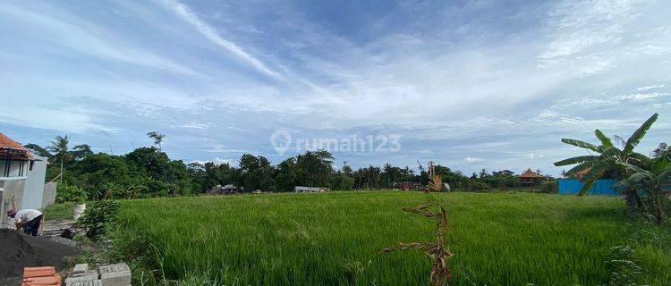 Tanah Kontrakan Nyanyi Beach 50 Are Yellow Zone 1