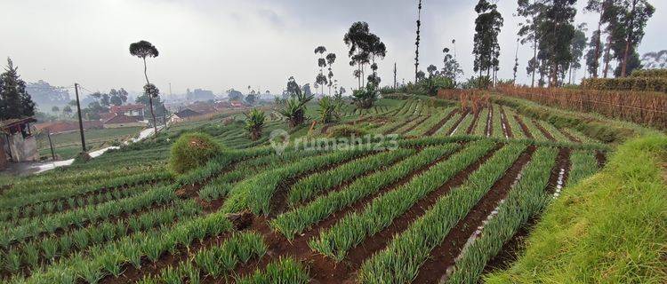 Tanah di Ciwidey cocok untuk Villa atau investasi 1