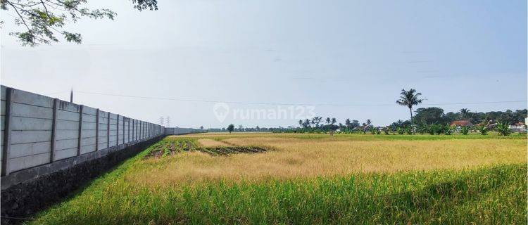 Tanah dekat Area industri Sukaluyu Cianjur 1