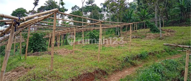 Rumah dan Tanah Bekas Peternakan di Pasir Jambu Ciwidey 1