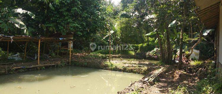 Dijual Tanah di Caringin Pasir Muncang, Bogor 1