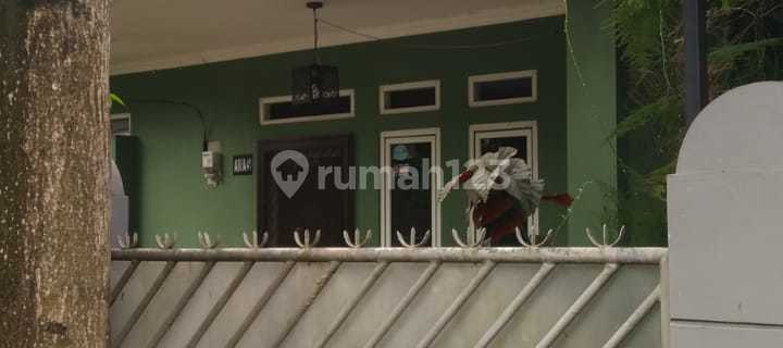 House for Sale in Medang Gs 1