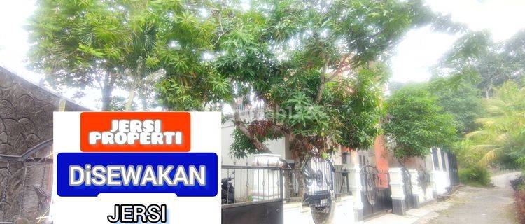 Rumah Kantor Sewa Mewah Harga Murah Lokasi Samarinda Kota 0266 1