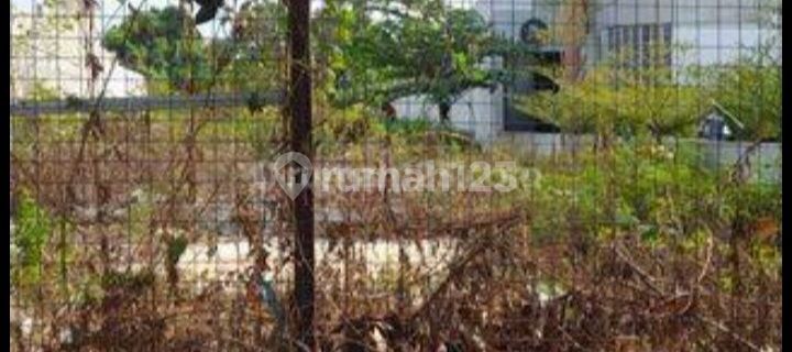 Strategic land by the roadside next to Harvest. 1