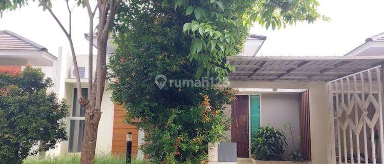 Rumah Semi Furnish Bagus Dan Siap Huni Di Bsb Citraland 1