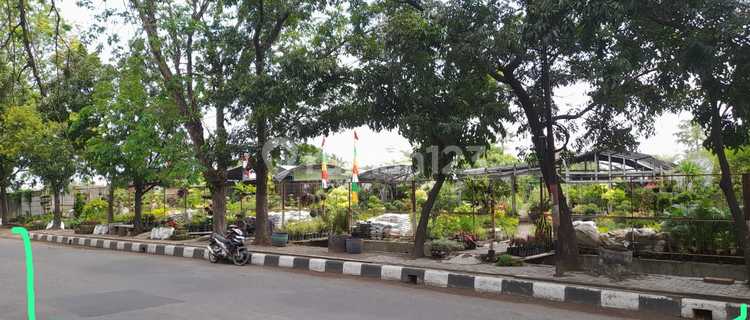 Tanah Shm Dibawah Njop Pinggir Jalan Raya Yg Strategis Tengah Kota Semarang 1