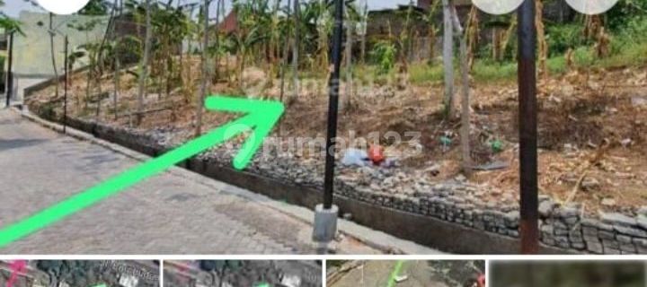 Dijual Cepat Tanah Kavling Di Borobudur Utara Bebas Banjir  1