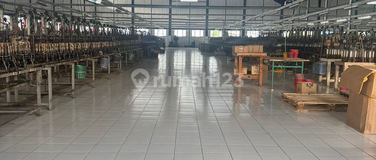 Large and Ready-to-Use Warehouse in Semarang 1
