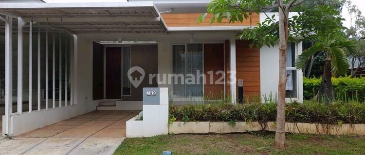 Cheap House Rent in BSB 1