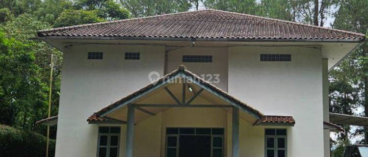 Disewakan Villa Asri Luas Tanah 3500m2 di Puncak Pesona Alam 1