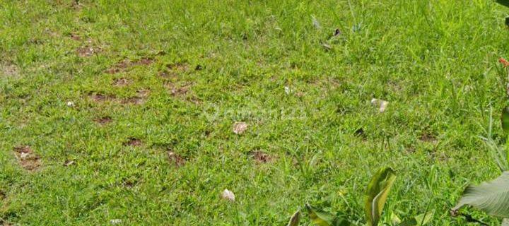 Disewakan Cepat Tanah Strategis area Ampera 1