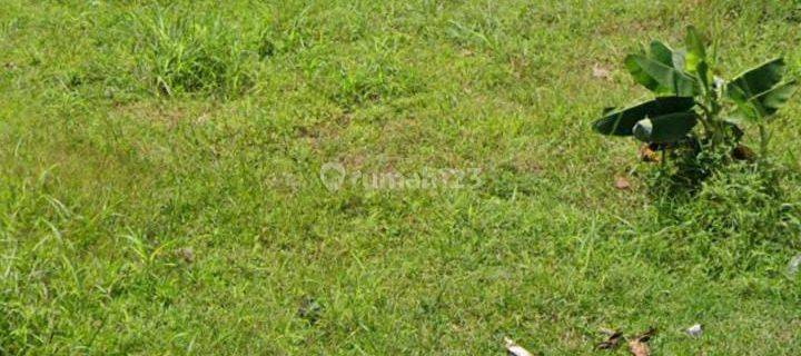 Disewakan Tanah Komersial Strategis di Samanhudi 1