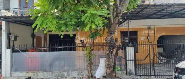 Disewakan Rumah Bagus Di Bendungan Hilir  1