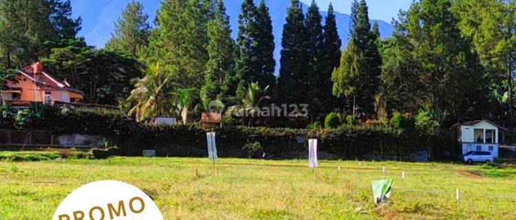 Promo Akhir Tahun Jual Tanah Di Kawasan Megamendung Puncak Bogor  1