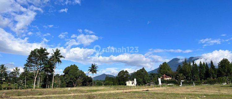 Tanah datar shm siap bangun di megamendung bogor 1