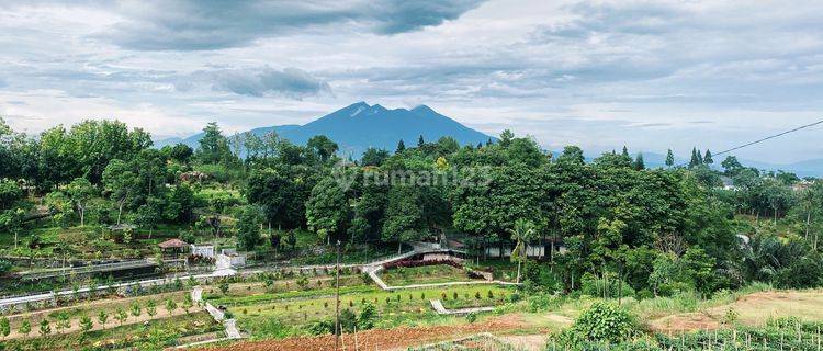 Tanah 3000m² SHM di Megamendung puncak bogor 1