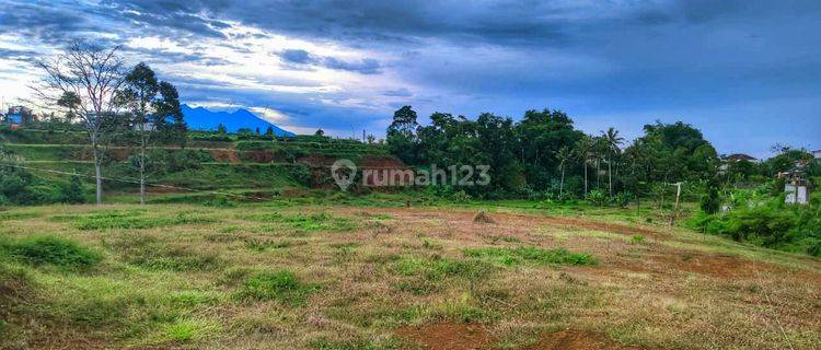 Tanah strategis di Megamendung puncak bogor  1