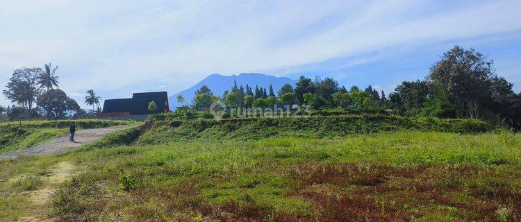 Tanah Datar siap bangun di megamendung puncak bogor 1