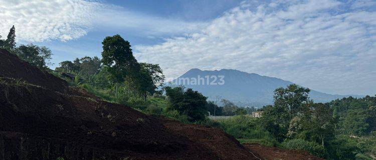 Tanahdi jual luas 1208m² di Puncak Megamendung Bogor 1