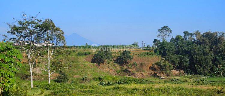 Tanah SHM Siap Bangun Di Puncak Bogor Megamendung  1