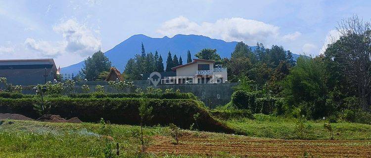 Tanah Luas 295m2 Akses Mudah Megamendung Puncak Bogor 1