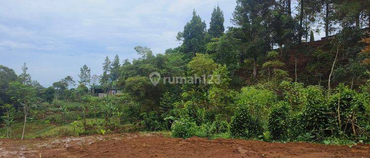 Tanah Luas 220 m² SHM Udara Dingin Di Puncak Bogor 1