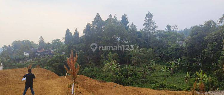 Tanah Murah Sumber Air Melimpah Di Puncak Bogor 1