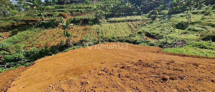 Tanah SHM Lokasi Strategis View Alam Di Puncak Bogor 1