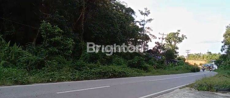 TANAH STRATEGIS DI JALAN UTAMA SEKADAU HILIR 1