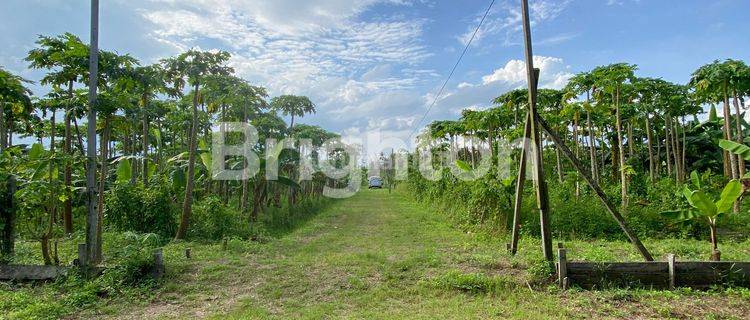 LAHAN EXCLUSIVE DI TEPI PANTAI WISATA AMBALAT 1