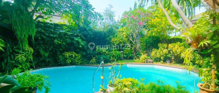 Rumah Mewah Ada Swim Pool Di Pesanggrahan Jaksel Am 15040       1