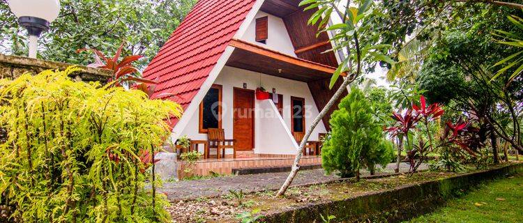 Dikontrakan Resort Mewah 18 Kamar Di Nusa Penida Bali 1